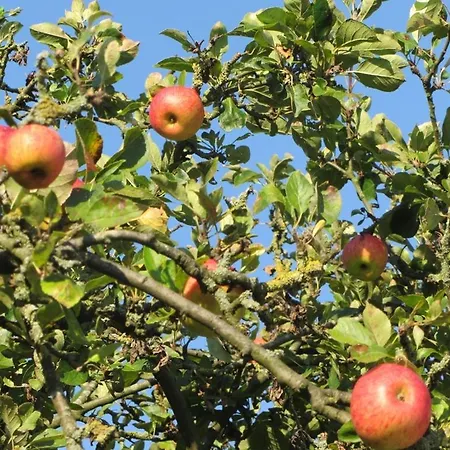 In Het Fruit Bed & Breakfast Zuidoostbeemster