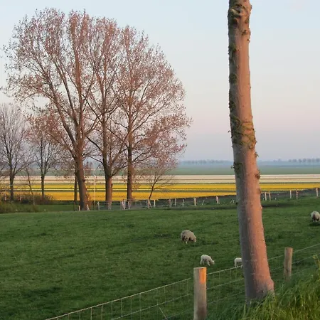 Frühstückspension In Het Fruit Zuidoostbeemster
