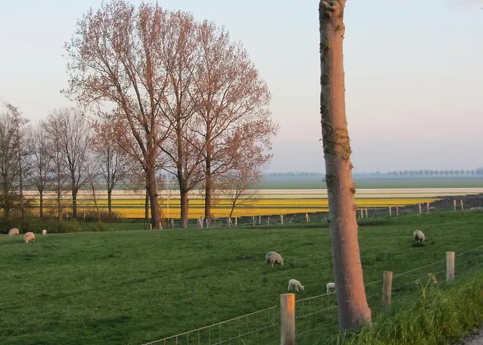 Bed & Breakfast In Het Fruit Zuidoostbeemster